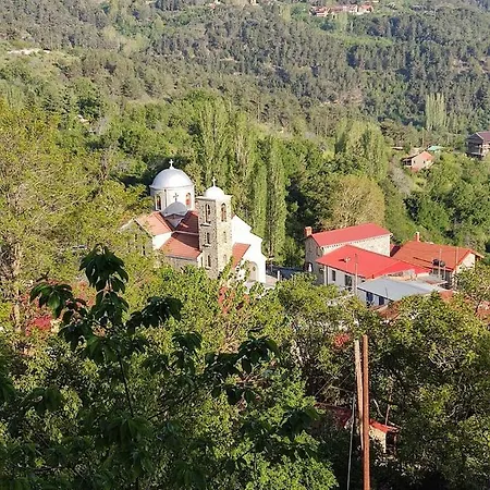 Stella's Πρόδρομος