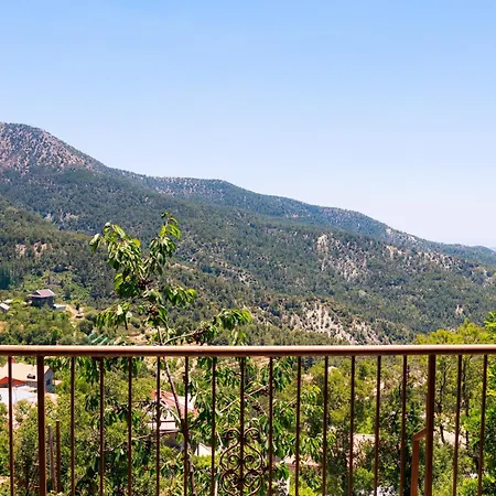 Stella's Prodromos