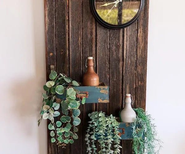 Stella's * Prodromos