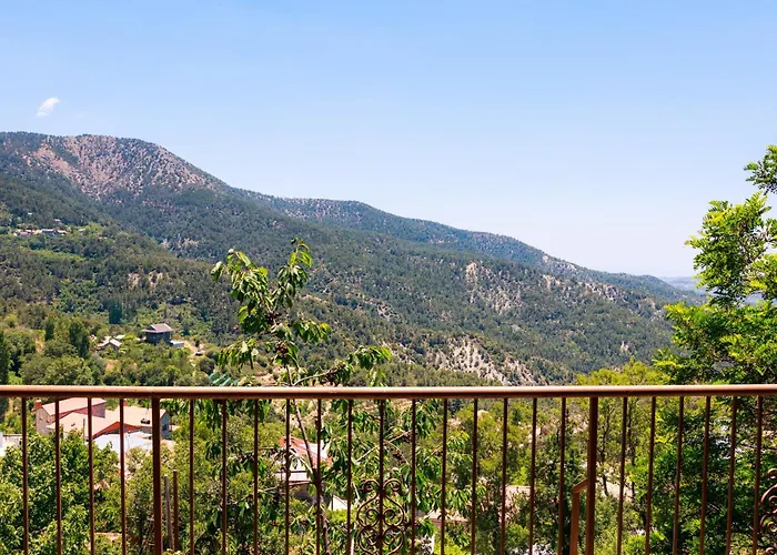 Stella's Prodromos