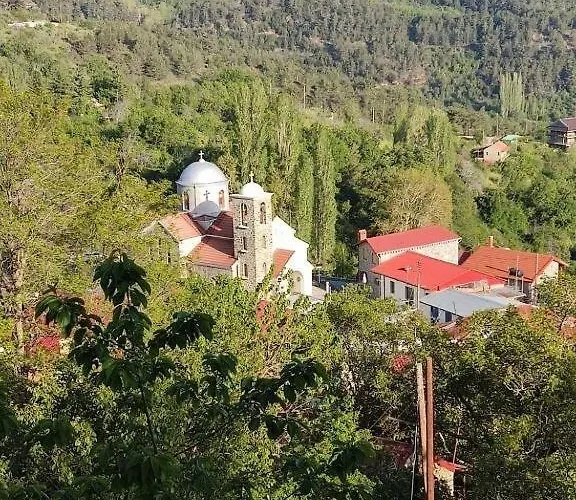 Stella's